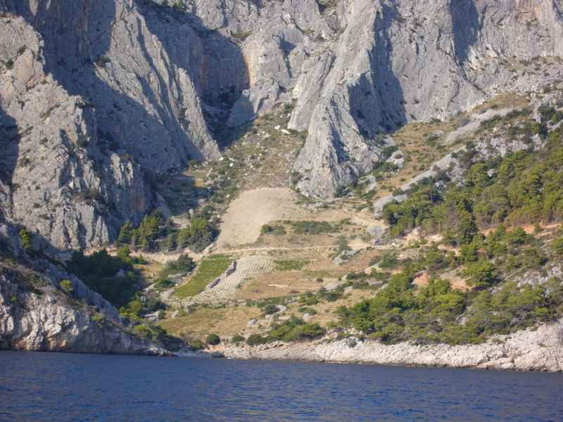 Anna és Nóri tengeri jogosítvány — Ibex