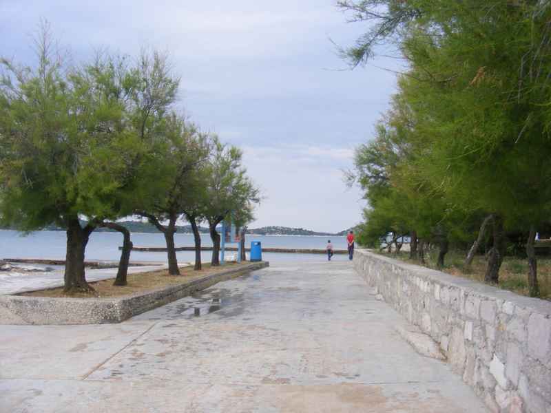 Žut, Telašćica, Biograd, Primošten — Ibex