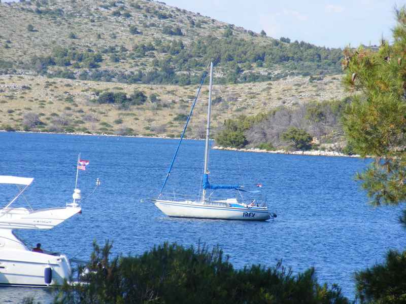 Žut, Telašćica, Biograd, Primošten — Ibex