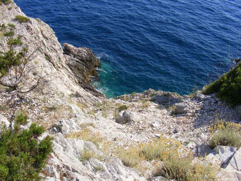 Žut, Telašćica, Biograd, Primošten — Ibex