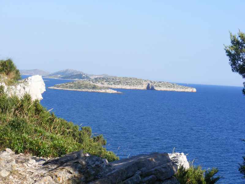 Žut, Telašćica, Biograd, Primošten — Ibex