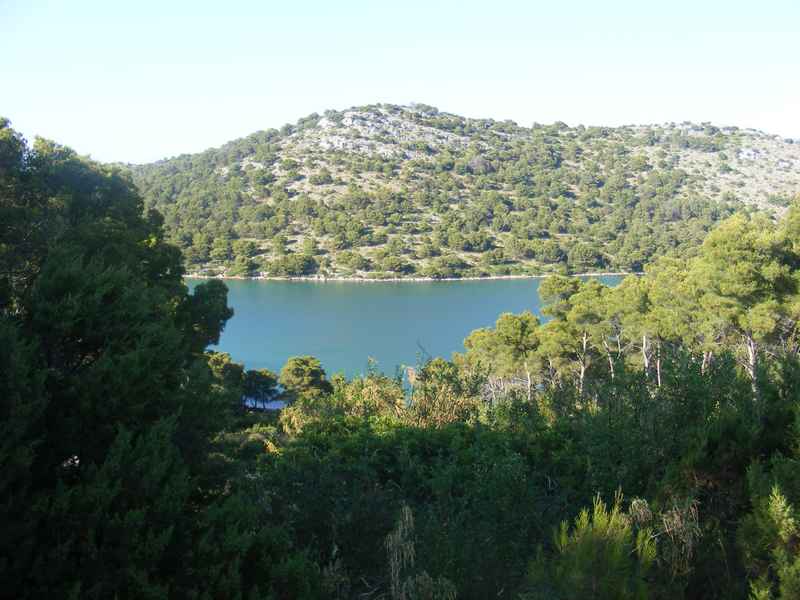 Žut, Telašćica, Biograd, Primošten — Ibex