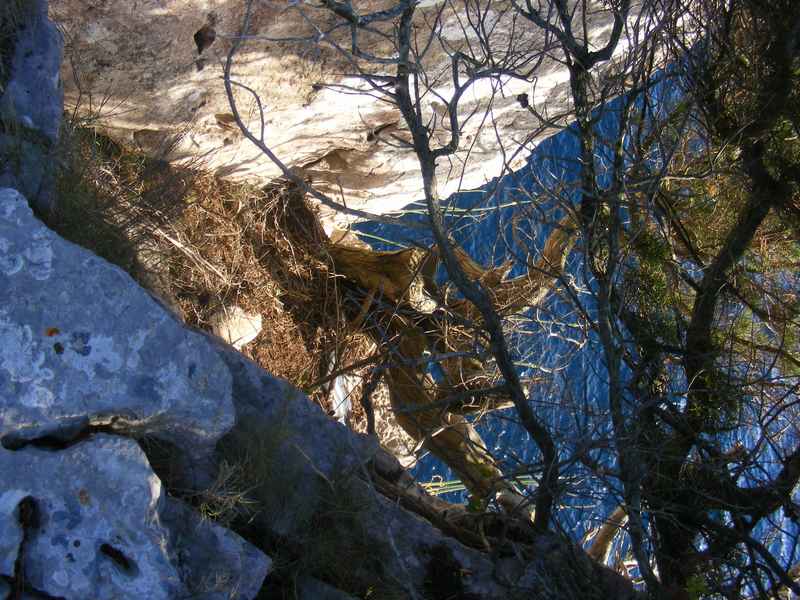 Žut, Telašćica, Biograd, Primošten — Ibex
