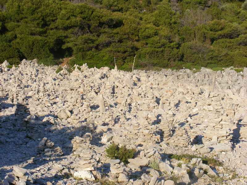 Žut, Telašćica, Biograd, Primošten — Ibex