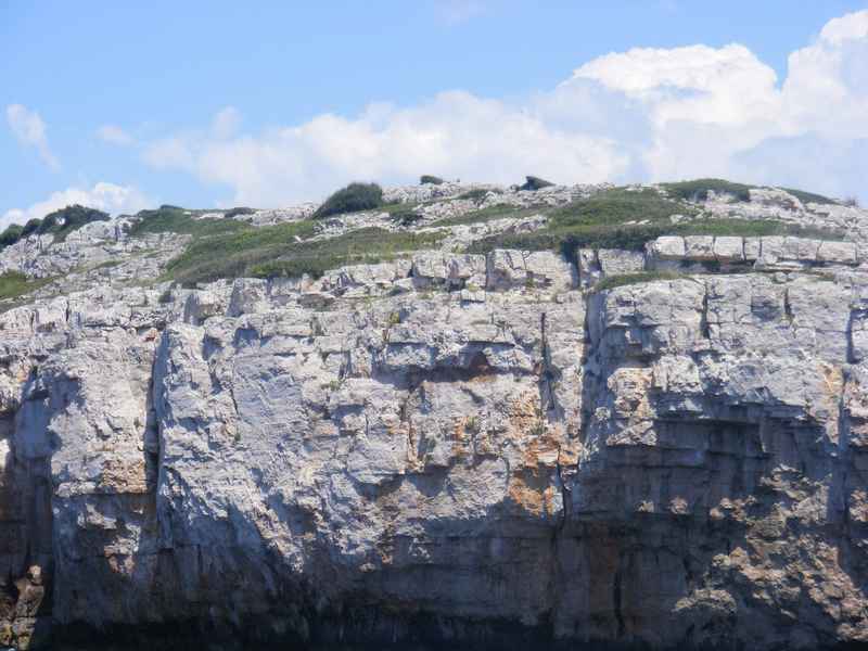 Žut, Telašćica, Biograd, Primošten — Ibex