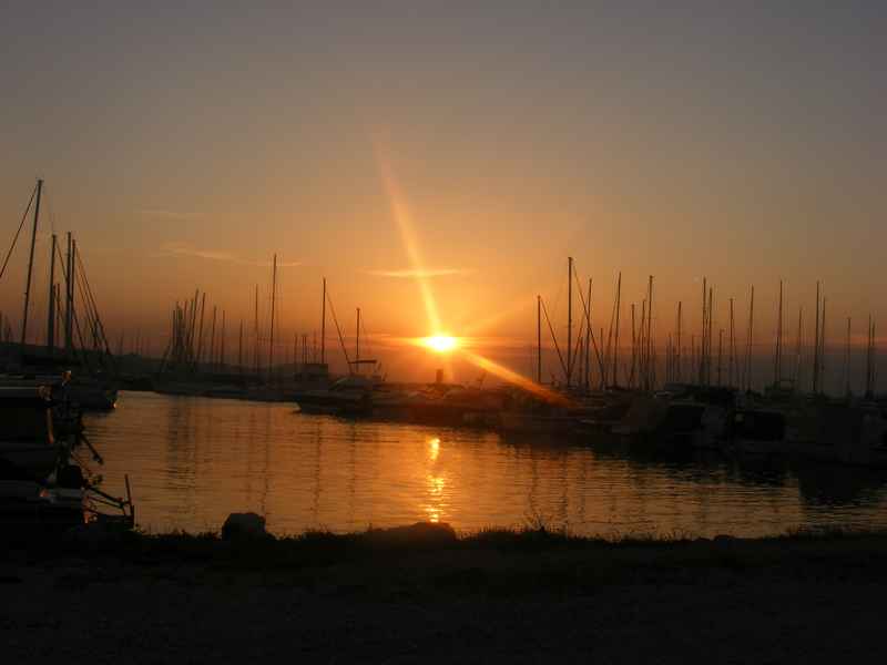 Žut, Telašćica, Biograd, Primošten — Ibex