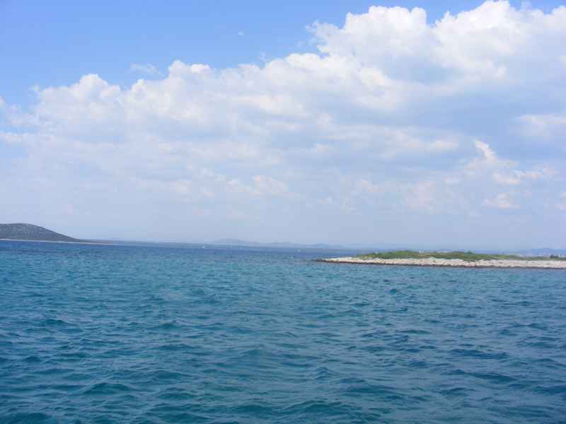 Žut, Telašćica, Biograd, Primošten — Ibex