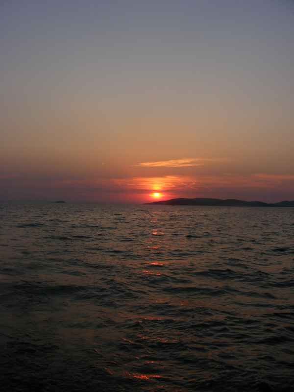 Žut, Telašćica, Biograd, Primošten — Ibex