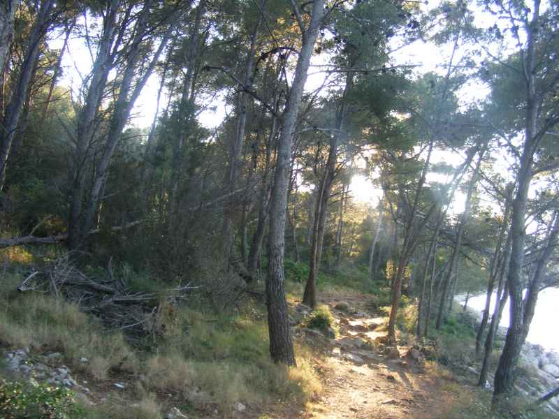 Žut, Telašćica, Biograd, Primošten — Ibex