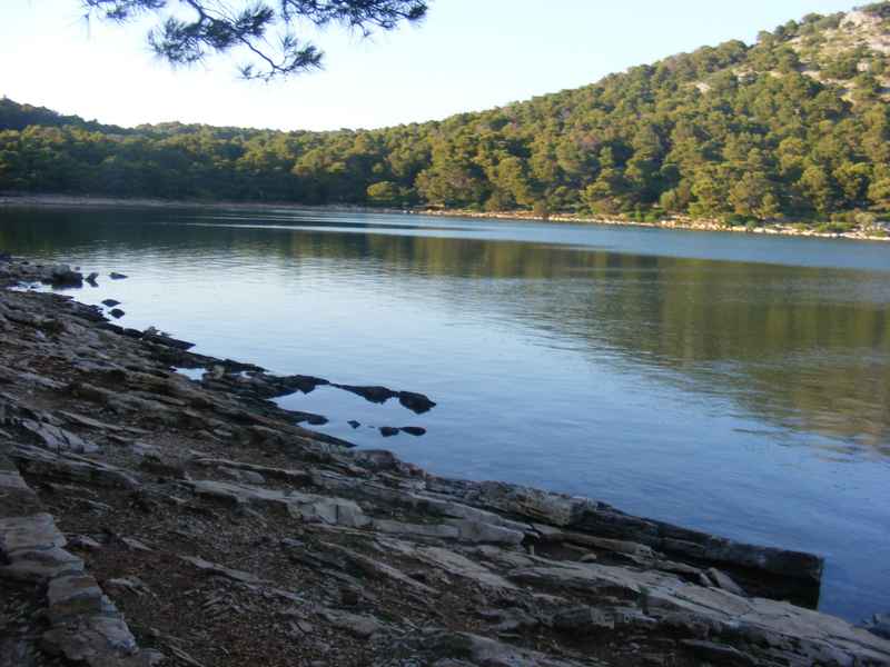 Žut, Telašćica, Biograd, Primošten — Ibex