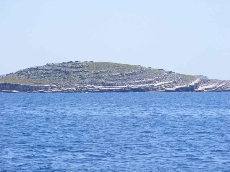 Žut, Telašćica, Biograd, Primošten — Ibex