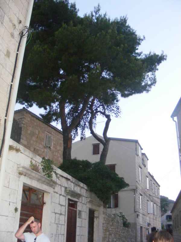 Komiža, Kék barlang, Vis, Hvar, Trogir — Ibex
