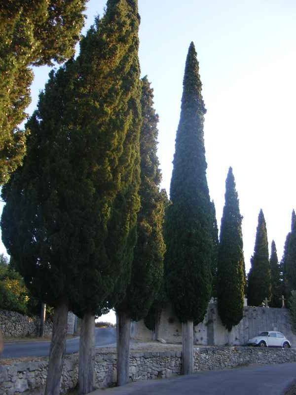 Komiža, Kék barlang, Vis, Hvar, Trogir — Ibex