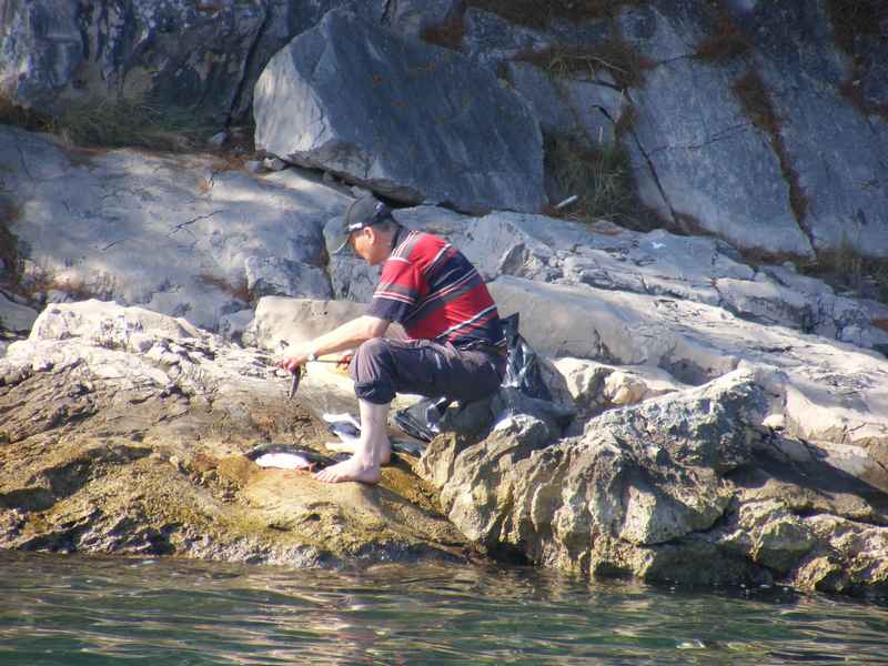 Komiža, Kék barlang, Vis, Hvar, Trogir — Ibex