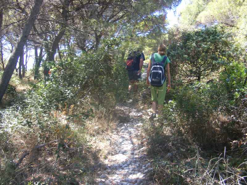 Komiža, Kék barlang, Vis, Hvar, Trogir — Ibex