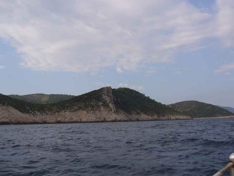 Melamphyrum nyomdokain — Ibex