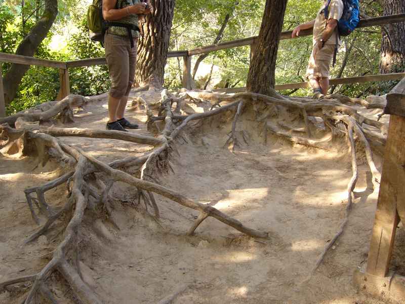 Vodice ACI, Skradin vízesések, Tribunj — Ibex