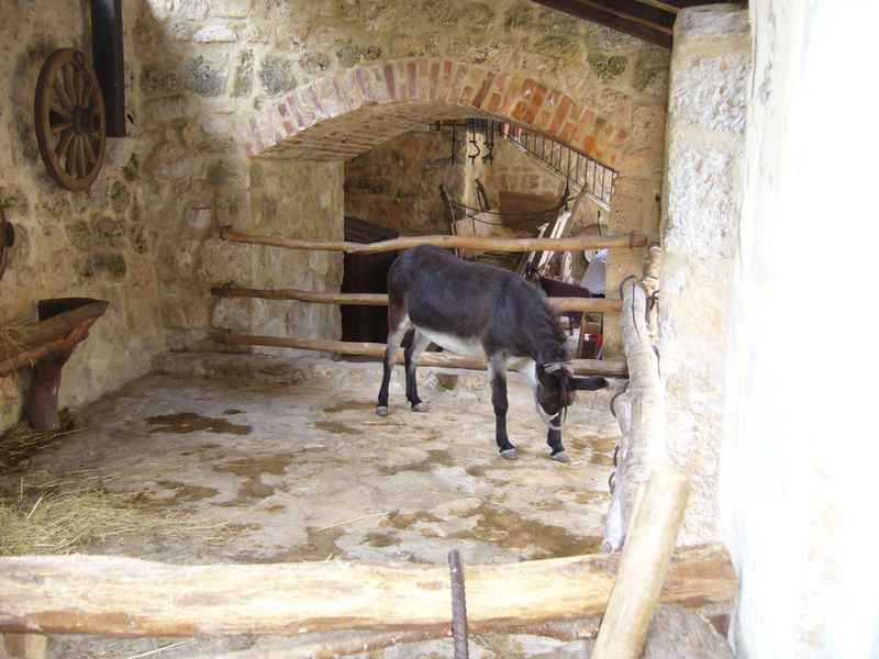 Vodice ACI, Skradin vízesések, Tribunj — Ibex