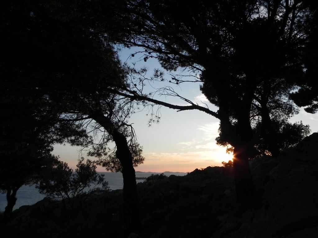 Ibex költöztetése Veli Rat-ra — Ibex