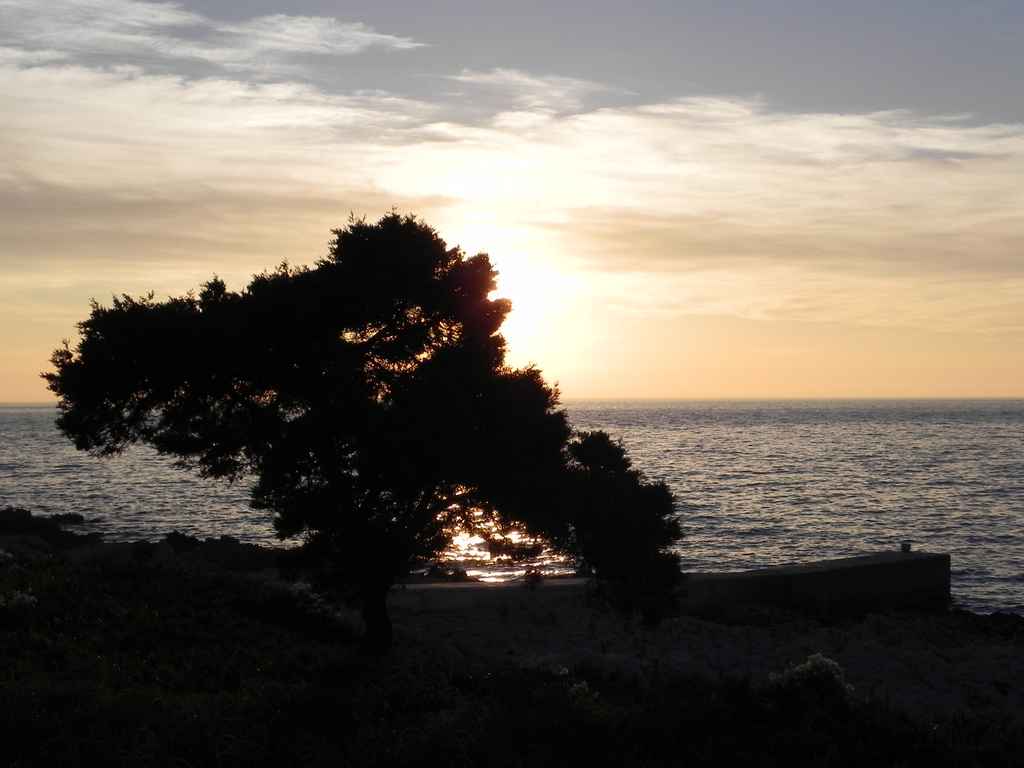 Ibex költöztetése Veli Rat-ra — Ibex
