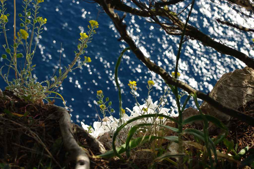 Ibex költöztetése Veli Rat-ra — Ibex