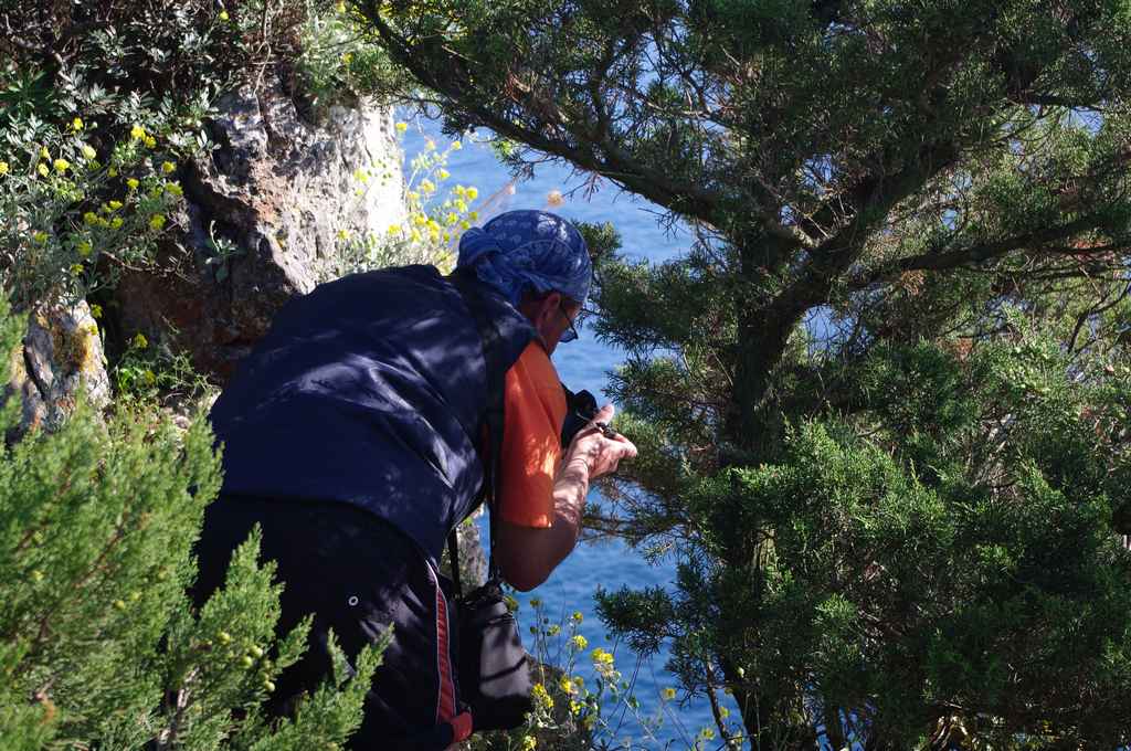 Ibex költöztetése Veli Rat-ra — Ibex