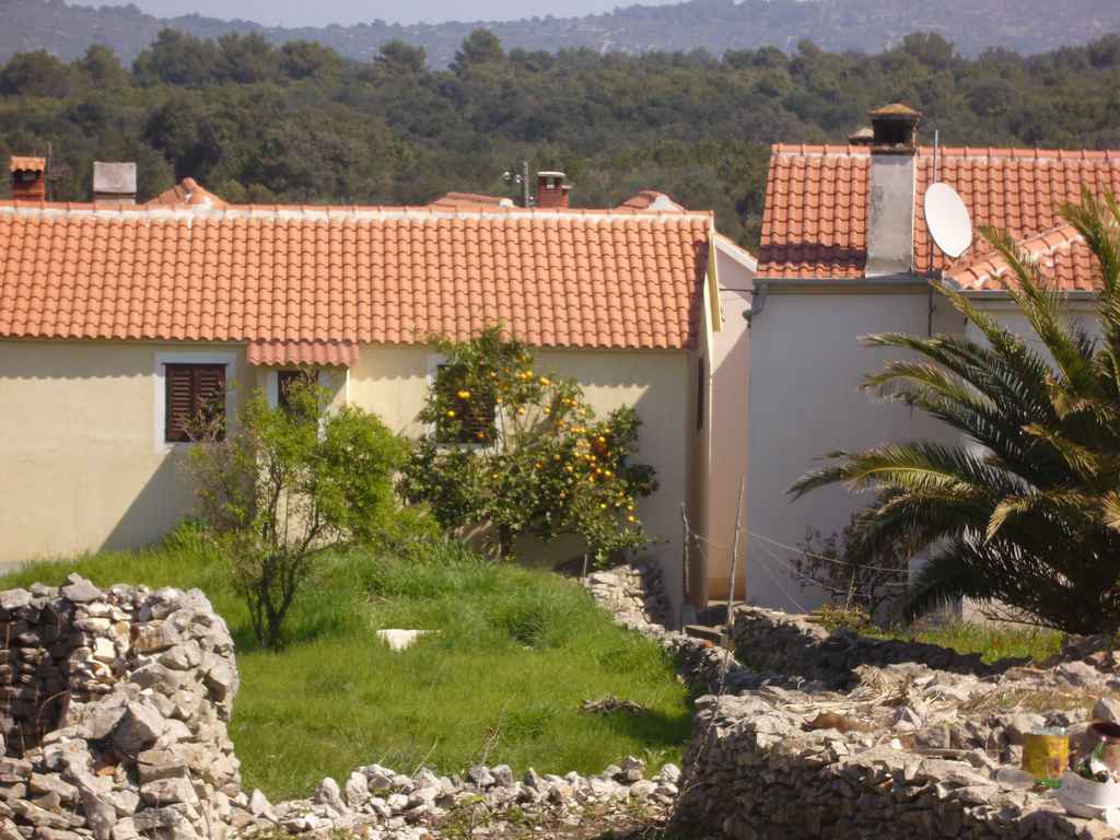 Ibex költöztetése Veli Rat-ra — Ibex