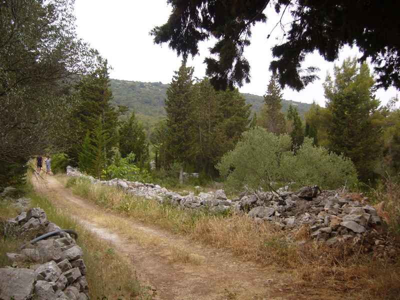 Adriai iroda és túra Premudára — Ibex