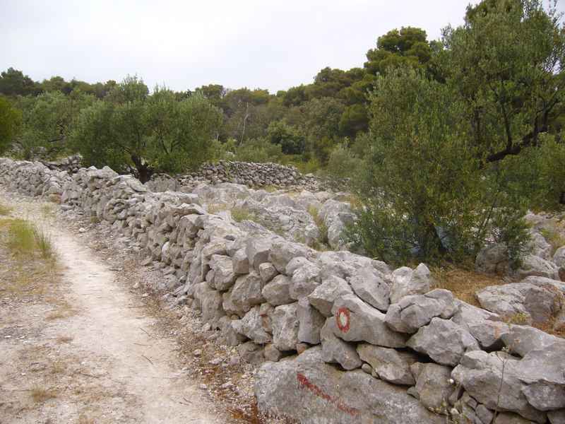 Adriai iroda és túra Premudára — Ibex