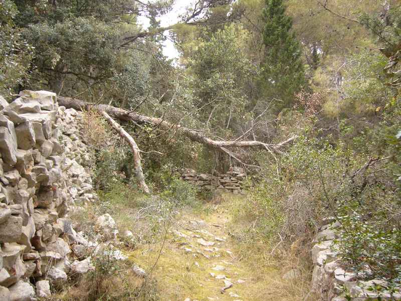 Adriai iroda és túra Premudára — Ibex