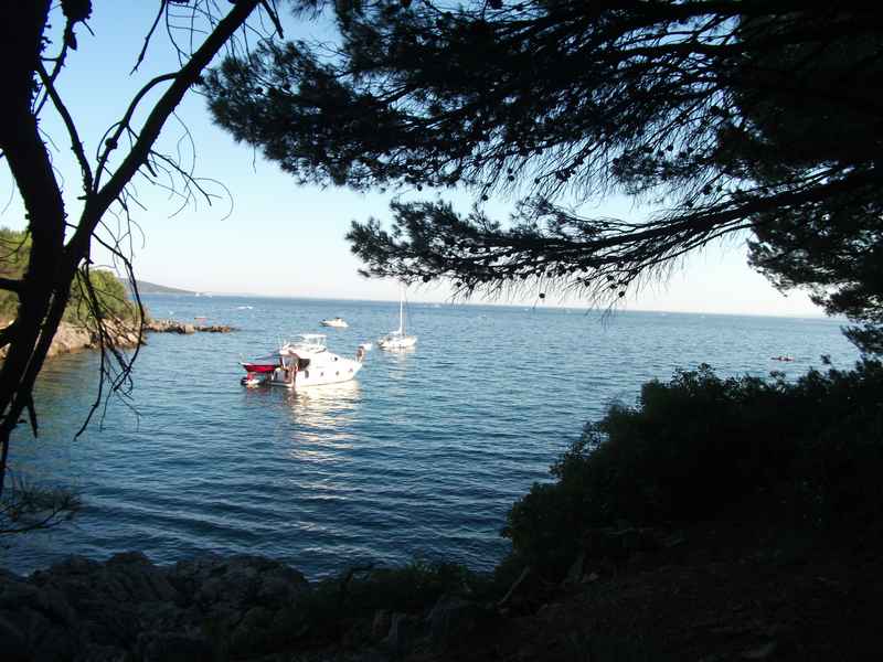Ist, Premuda, Rab, Krk, Pag, Silba — Ibex