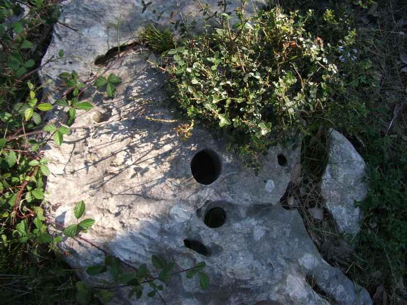 Ist, Premuda, Rab, Krk, Pag, Silba — Ibex