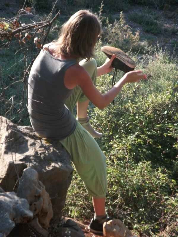 Ist, Premuda, Rab, Krk, Pag, Silba — Ibex
