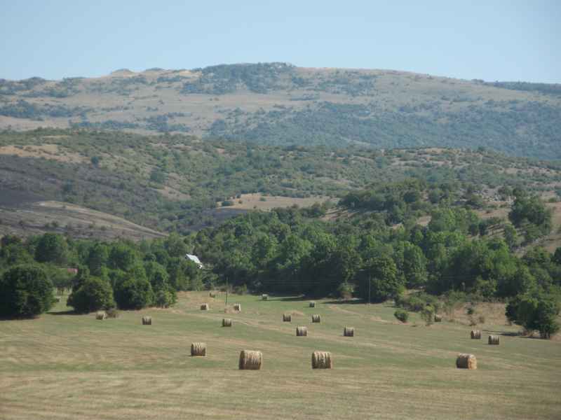 Ist, Premuda, Rab, Krk, Pag, Silba — Ibex