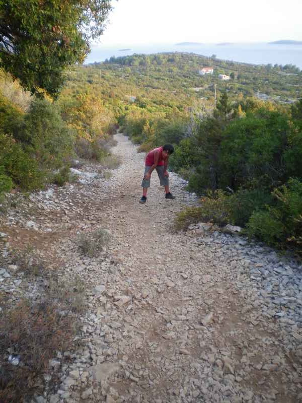 Ist, Mali Lošinj, Cres, Rab, Pag, Silba — Ibex