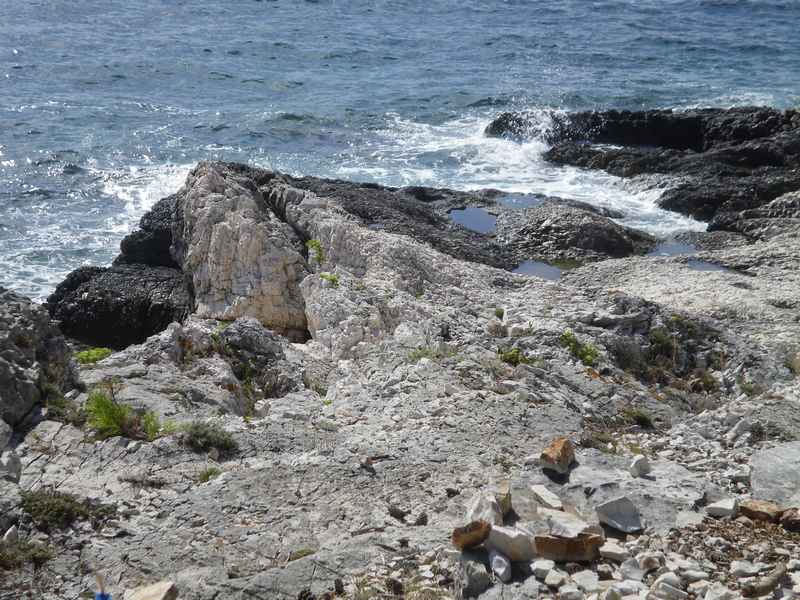 Ist, Mali Lošinj, Cres, Rab, Pag, Silba — Ibex
