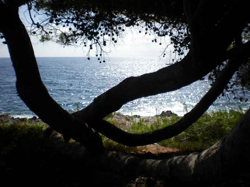 Ist, Mali Lošinj, Cres, Rab, Pag, Silba — Ibex