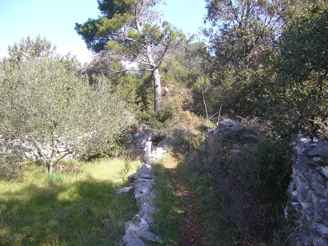Évadnyitó vitorlázás — Ibex