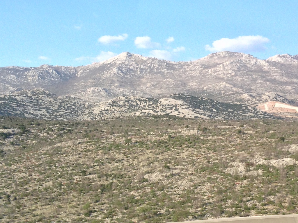Ibex hazatér Magyarországra — Ibex