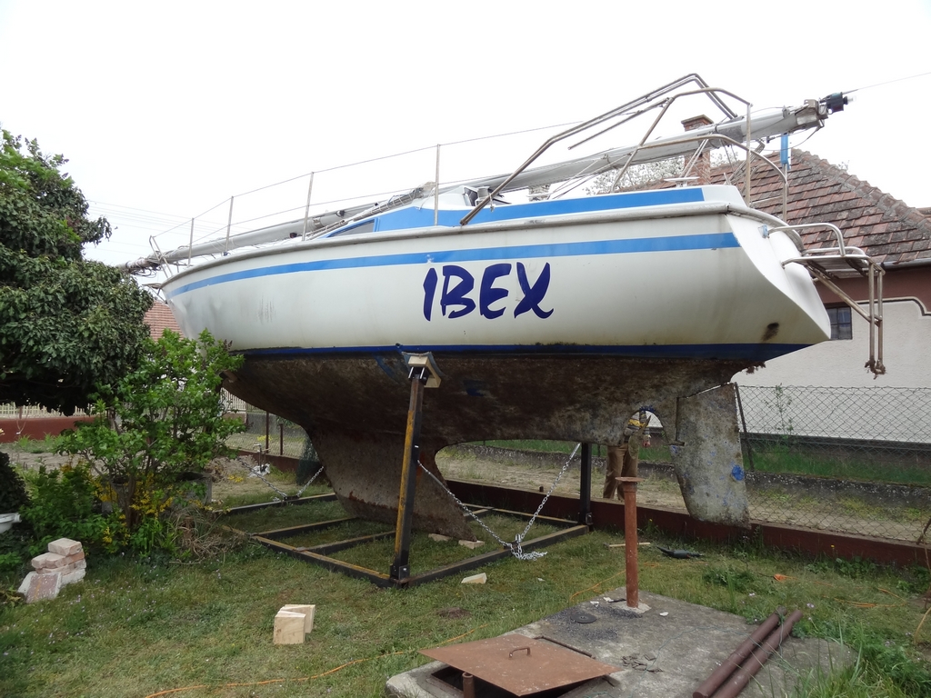 Ibex hazatér Magyarországra